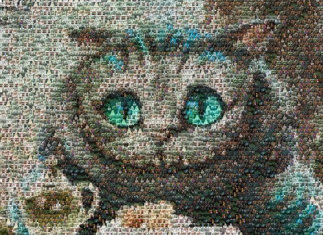 Can't Visualize? You May Have Aphantasia