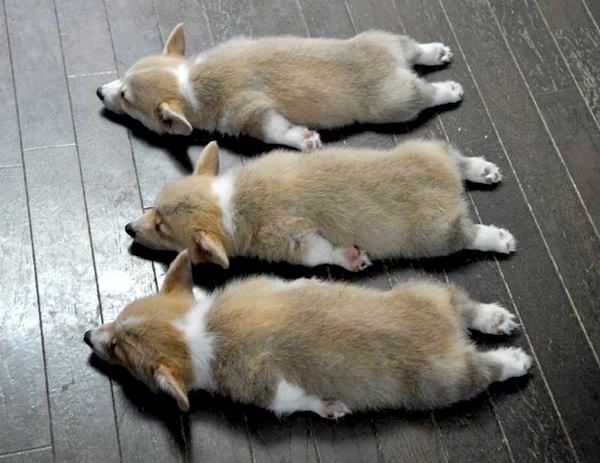 Are Lucid Dreams Tiring?