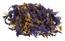 where to buy blue lotus