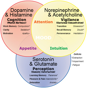 Neurochemical Affects on Mood