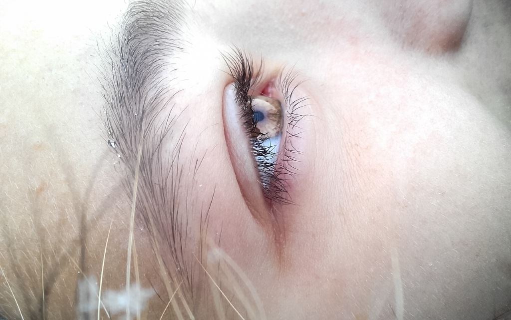 daydreams mindfulness and meditation header