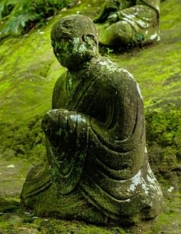 meditation and daydreaming