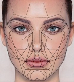 The Golden Ratio and The Human Face