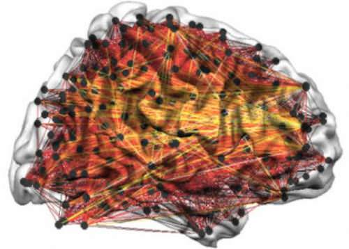 How Consciousness is Created in The Brain