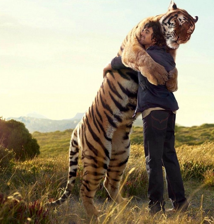 How to Cure Fears and Phobias with Lucid Dreaming