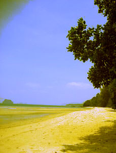 How to Maintain Dream Control