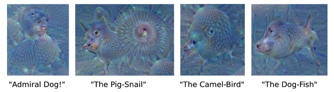 Images Created by Google's Neural Network