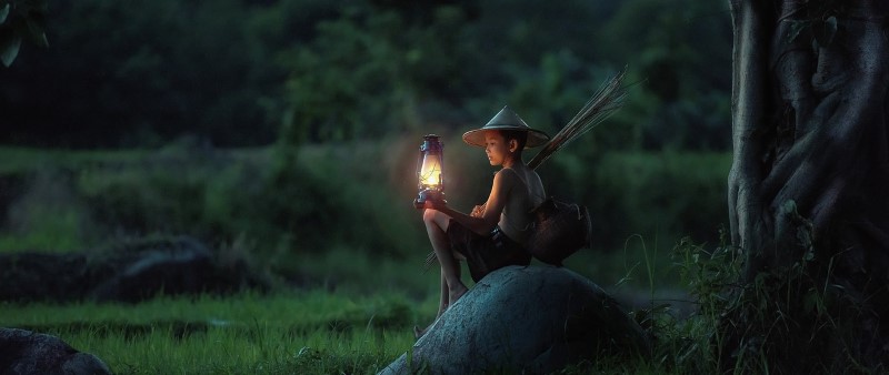 quotes on peaceful trees