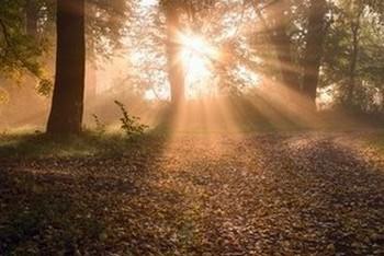 Is Lucid Dreaming Real?