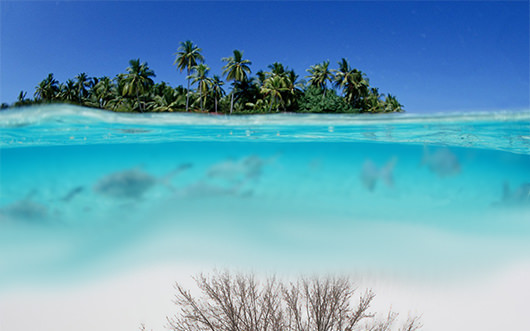 A Lucid Dream Changing Scene