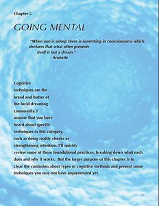 Cognitive Techniques in Lucid Immersion