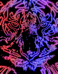 Visualizing Hypnagogia