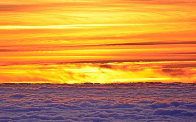 where to buy galantamine online