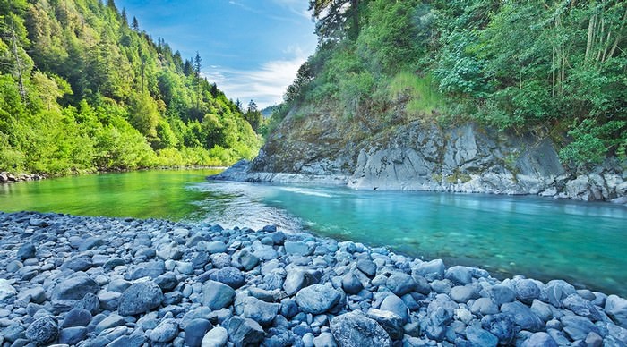 The River Visualization