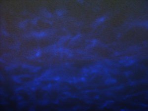 Tranquil Turtle Light Projector Demo