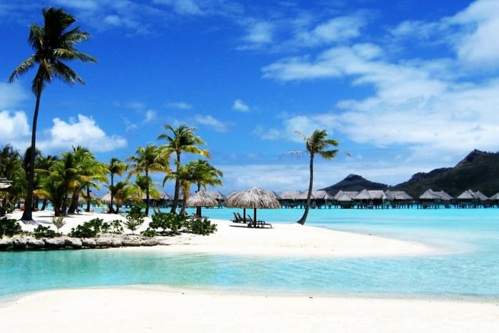 A Tropical Beach Dream