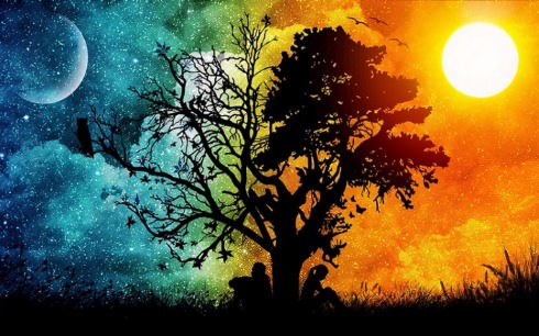 valerian root vivid dreams