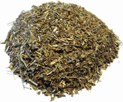 Where to Buy Calea Zacatechichi